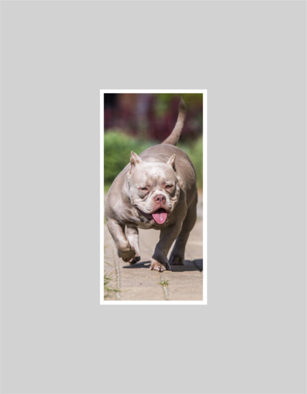 Fotoobraz 30 x 60 cm z vlastní fotografie - DESIGN 545 -