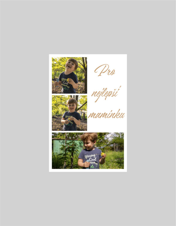 Fotoobraz 30 x 45 cm z vlastní fotografie - DESIGN 516 -