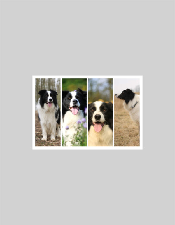 Fotoobraz 30 x 20 cm z vlastní fotografie - DESIGN 364 -