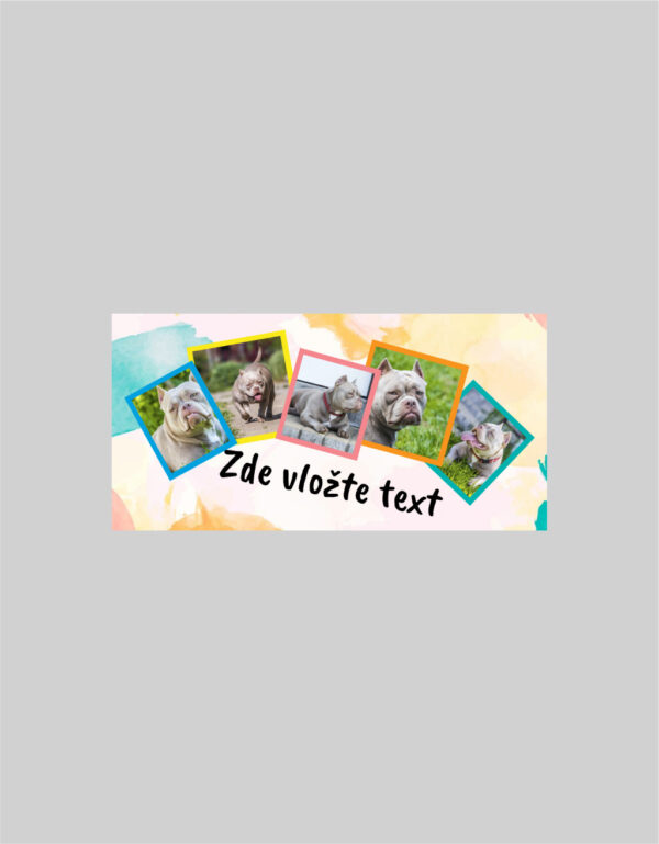 Fotoobraz 40 x 20 cm z vlastní fotografie - DESIGN 588 -