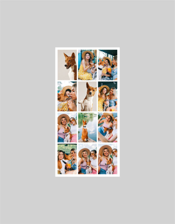 Fotoobraz 40 x 80 cm z vlastní fotografie - DESIGN 813 -