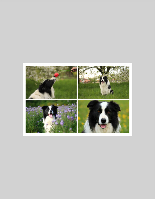 Fotoobraz 60 x 40 cm z vlastní fotografie - DESIGN 1106 -