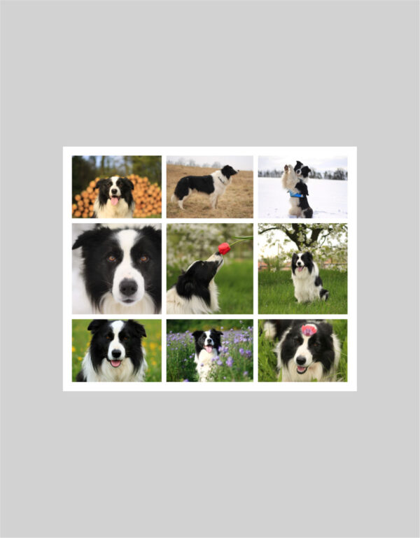 Fotoobraz 60 x 50 cm z vlastní fotografie - DESIGN 1157 -