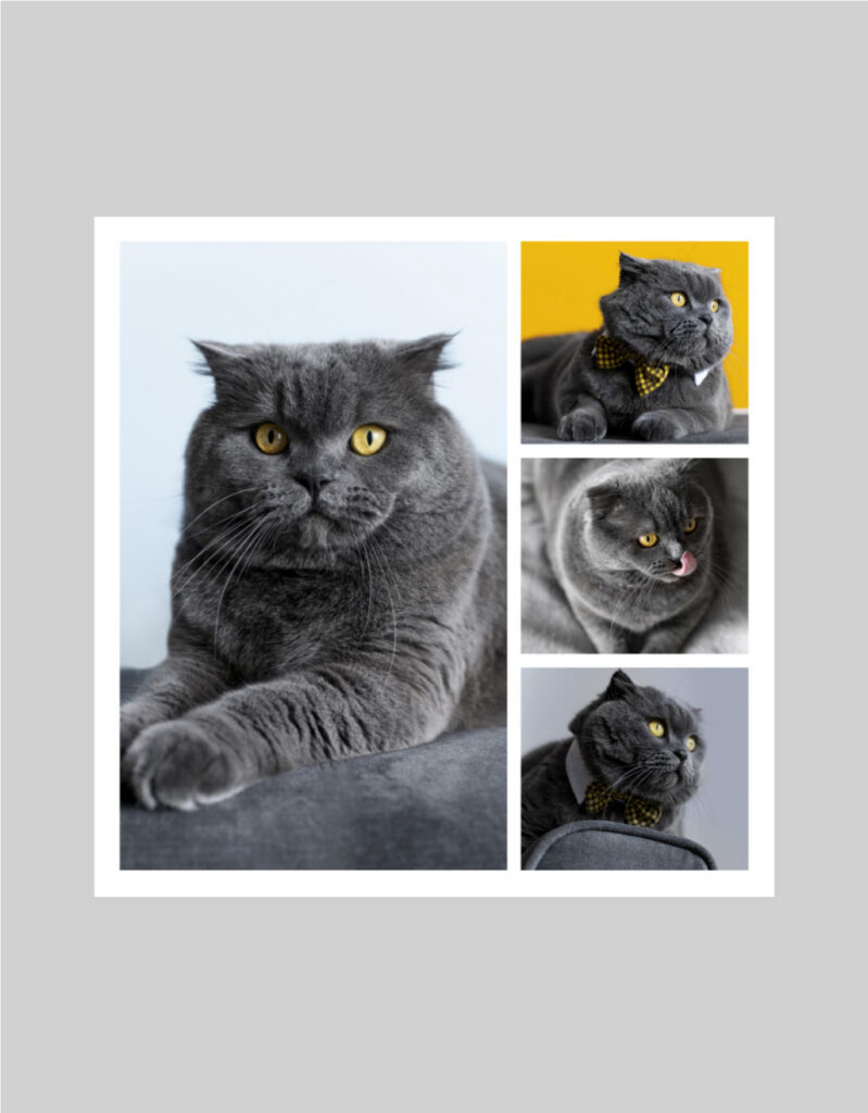Fotoobraz 100 x 100 cm z vlastní fotografie - DESIGN 2007 -
