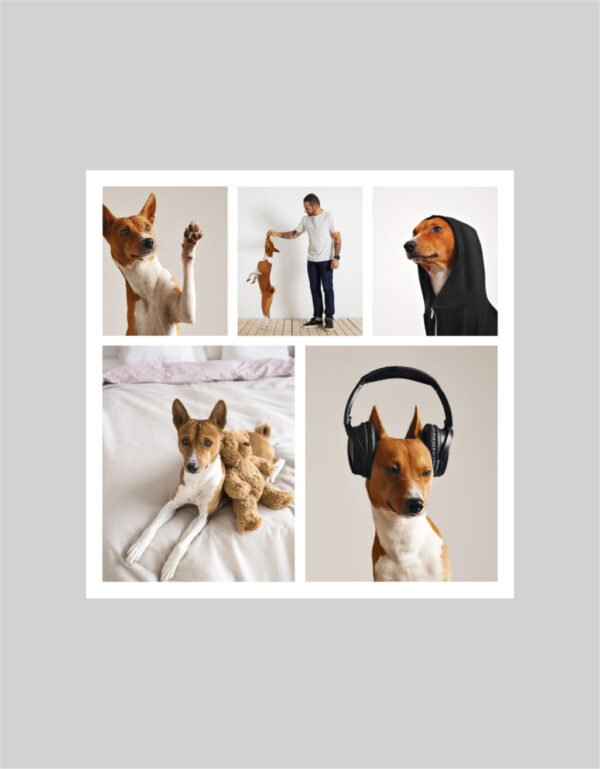 Fotoobraz 80 x 80 cm z vlastní fotografie - DESIGN 1606 -