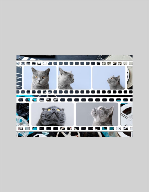 Fotoobraz 100 x 70 cm z vlastní fotografie - DESIGN 1920 -