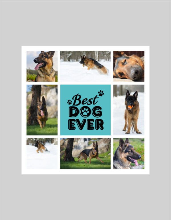 Fotoobraz 90 x 90 cm z vlastní fotografie - DESIGN 1812 -