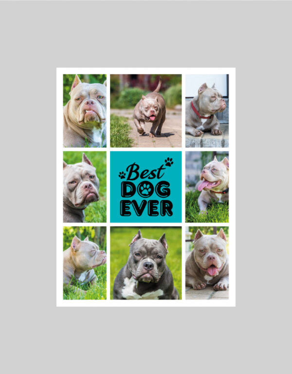 Fotoobraz 90 x 120 cm z vlastní fotografie - DESIGN 1862 -
