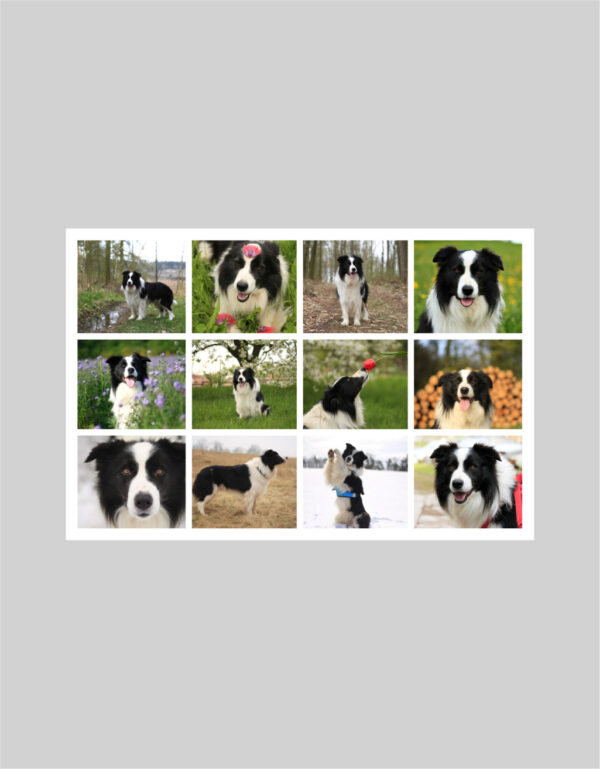 Fotoobraz 120 x 80 cm z vlastní fotografie - DESIGN 2152 -