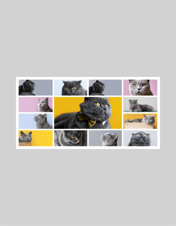 Fotoobraz 120 x 60 cm z vlastní fotografie - DESIGN 2117 -